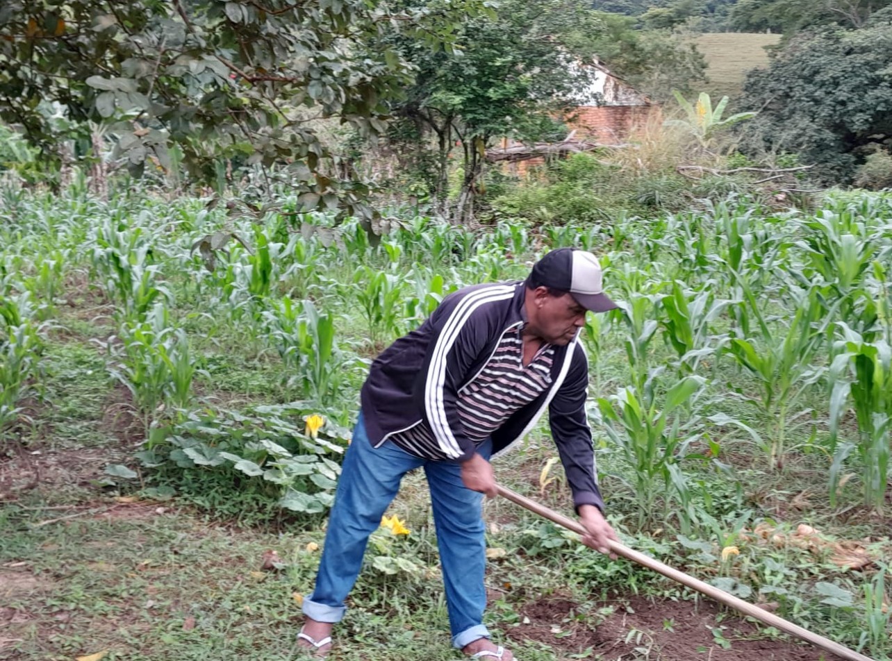 Leis aprovadas pela Alerj fortalecem a agricultura familiar e valorizam quem produz alimentos no Rio