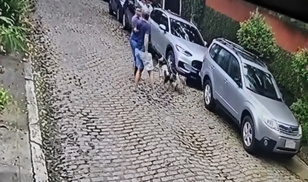 Motorista é preso suspeito de agredir médica e cães na Gávea