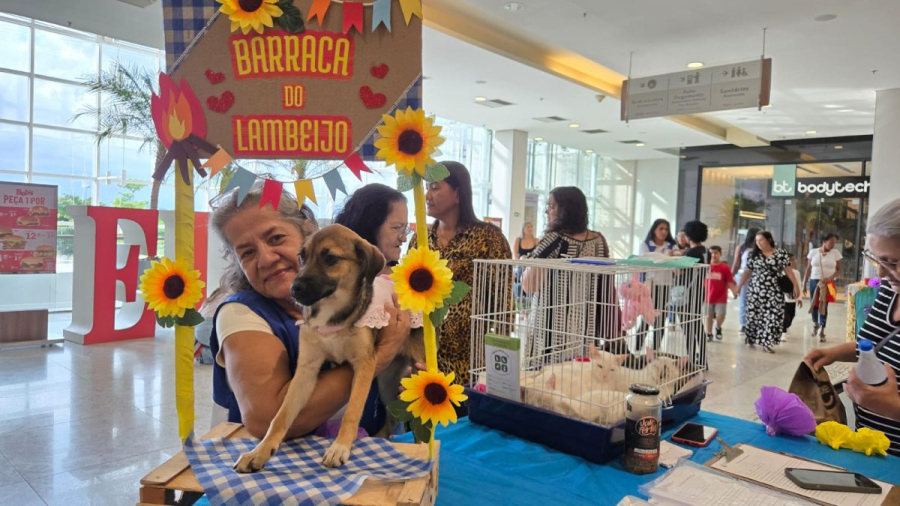 Feira de adoção de animais com tema de festa junina conquista público em Nova Iguaçu