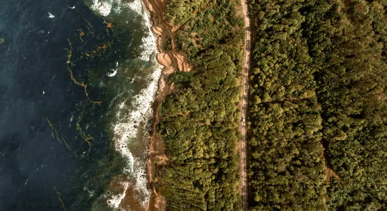 Governo Federal lança pacote de R$ 151,8 milhões para restaurar o maior bioma do país; iniciativa começará no Norte Fluminense