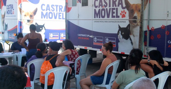 Castramóvel de Nova Iguaçu chega a Austin para castração gratuita de animais