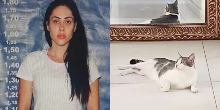 Defesa de Monique Medeiros pede autorização para manter gato na prisão