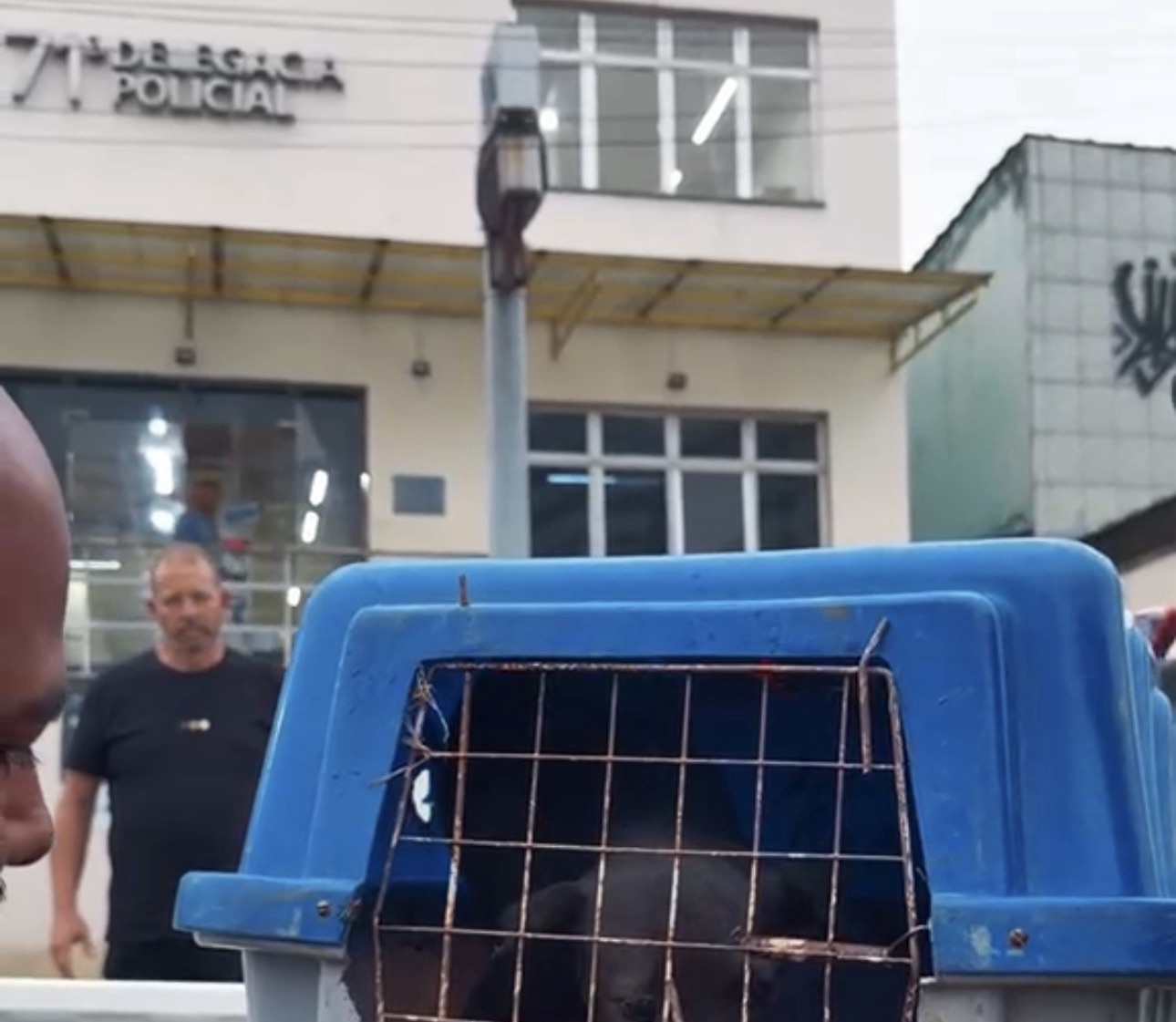 Deputado Guilherme Delaroli prende em flagrante homem que abusou de cachorra em Itaboraí