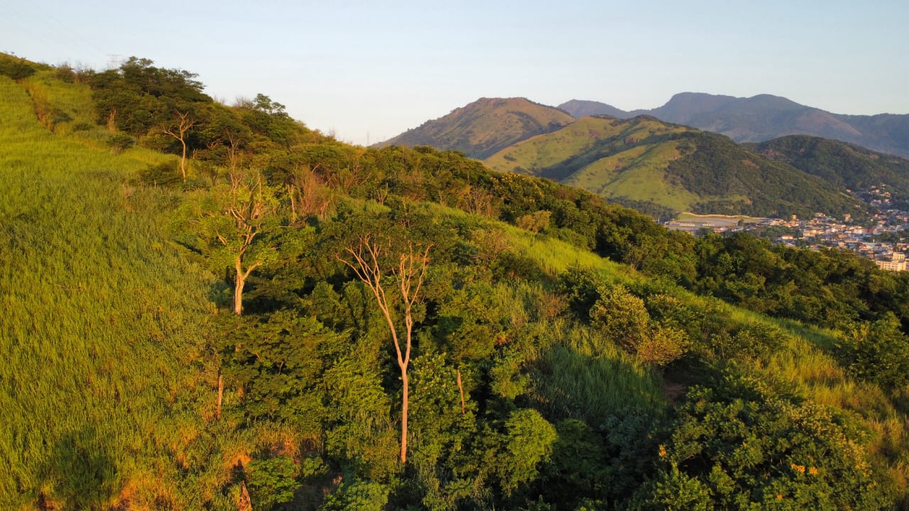 Prefeitura do Rio firma acordo com BNDES para investir R$ 10 milhões em recuperação florestal
