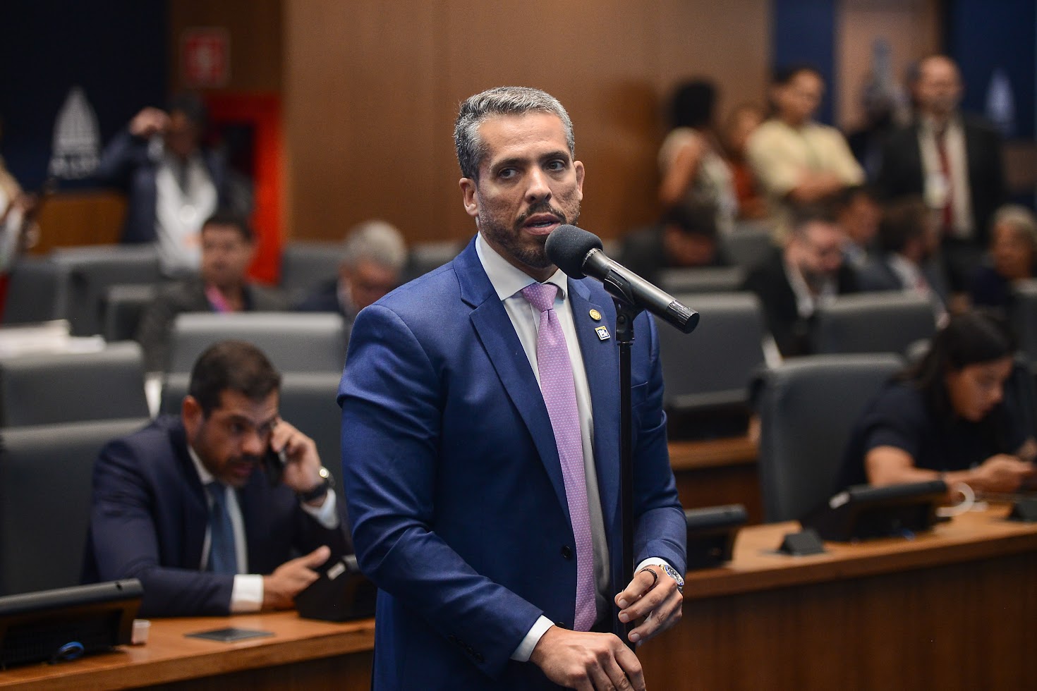 Alerj aprova projeto que cria o ‘Programa Laço Amarelo’ para cães que precisam de atenção especial